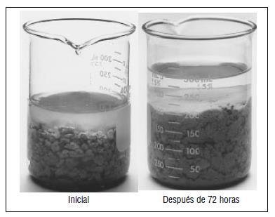 Gráfico 14: Hidratación de bentonita en agua dulce Fuente: (API, 2001) Gráfico 15: Hidratación de bentonita con agua salada Fuente: (API, 2001) Otro caso observado es usar la