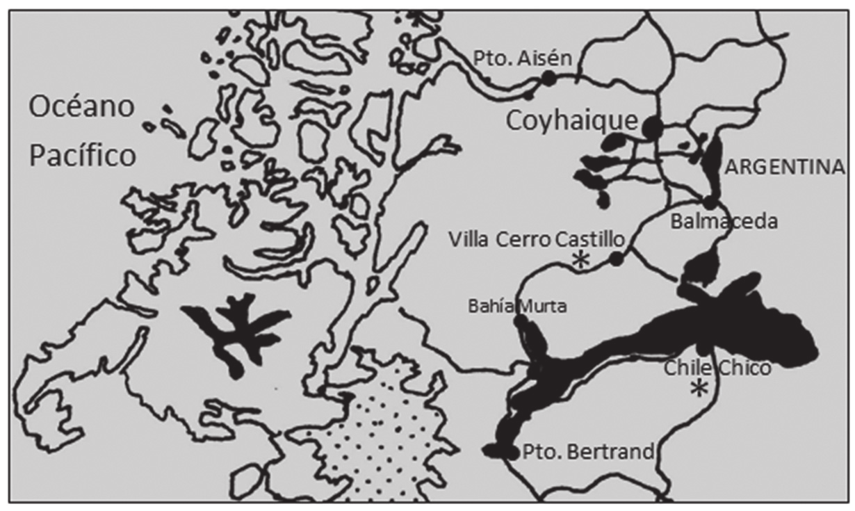 De acuerdo a todo lo anterior, la vegetación de la Región de Aisén es susceptible a ser dividida en tres franjas longitudinales paralelas con macroclimas y vegetación muy diferentes (Quintanilla