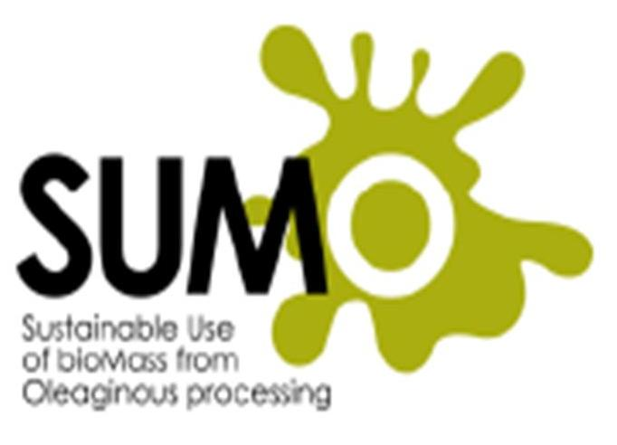 EXPERIENCIAS INTERNACIONALES Proyecto SUMO Estado de avance: Diagnóstico de la situación