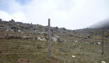 Área rocosa en la parcela Sarnajampina encuentra a una altitud que varía desde los 4690 a 4790 msnm.