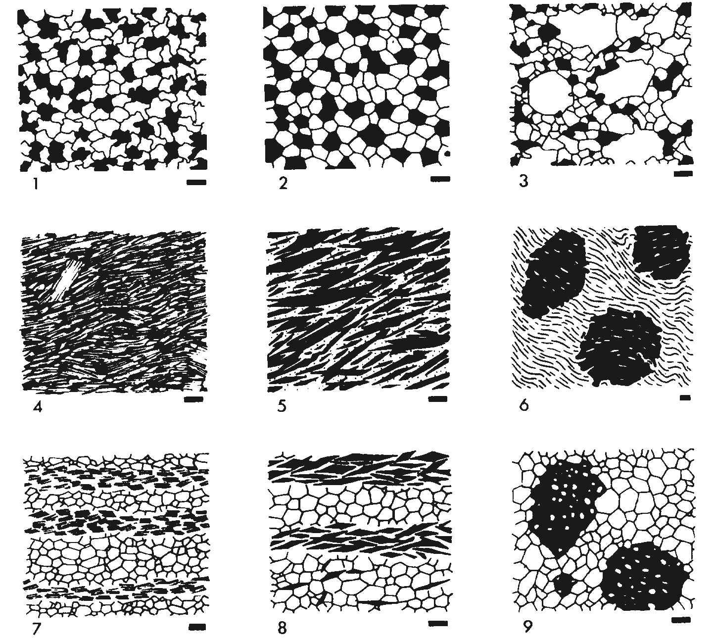 Tema 0: Conocimientos previos Petrología Endógena 2 (a) granoblástica equigranular: mosaico equigranular panalotriomorfo de cristales equidimensionales (Figura 2, esquema 1), (b) granoblástica