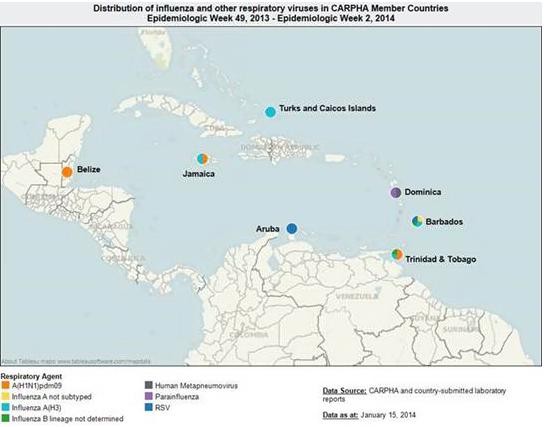 12,8% para virus influenza. Entre las muestras positivas, se detectaron rinovirus (40,0%), influenza B (25,5%) y parainfluenza (10,9%). Cuba Cuba.