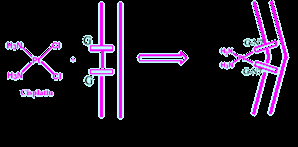 Resultados del enlace Pt-ADN Facultad de Química 1.- Distorsión en la estructura helicoidal.
