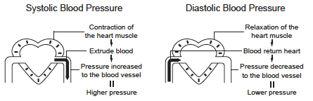 SOBRE LA PRESIÓN SANGUÍNEA CIRCULACIÓN SANGUÍNEA La circulación sanguínea es la responsable de abastecer el cuerpo con oxigeno. La presión sanguínea es la presión ejercida en las arterias.