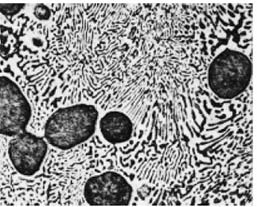 Fotomicrografía que muestra la microestructura de una aleación Plomo-Estaño con una composición de 50% Sn y 50% Pb (aleación