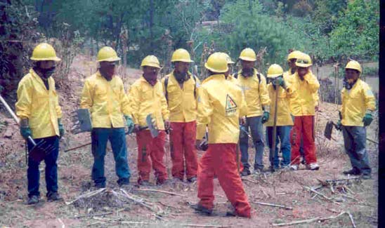 Control Reducir el daño negativo provocado por los incendios forestales - Detección de