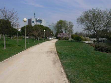 OBRVACIONES: Hay una serie de caminos existentes que recorren el Parque Enrique Tierno Galván y que podrían servir como base para el acondicionamiento de una senda peatonal / ciclista.