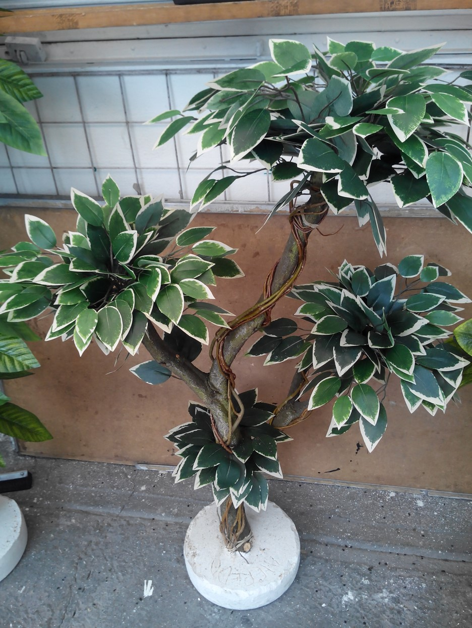 Ficus artificial hawaiano trenzado Clave: Fcs-hawaino trenzado
