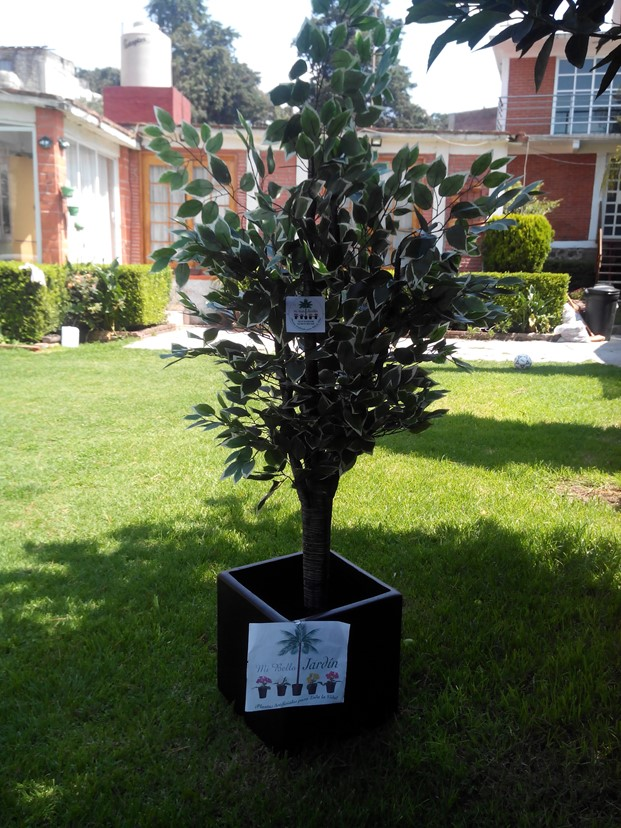 Ficus artificial decorativo Clave: FCV-002 ficus hawaiano Medida: 1.