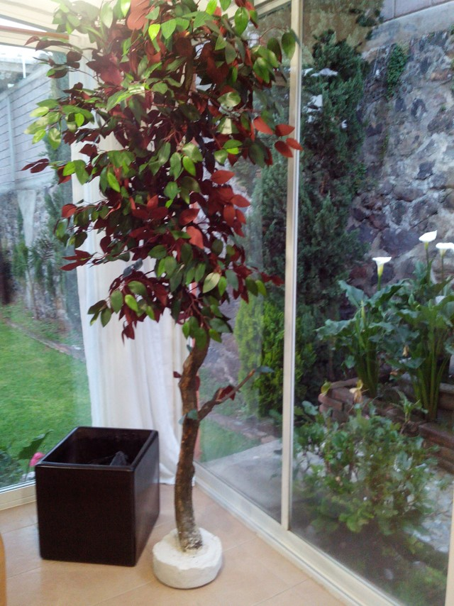 Ficus artificial rojizo decorativo Clave: FCV-0023 ficus rojizo