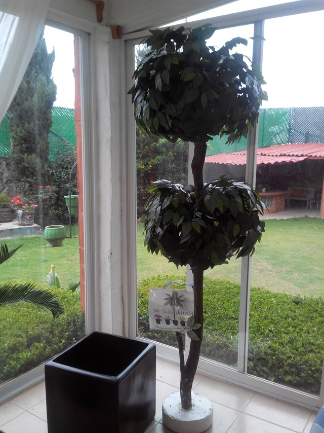 Ficus artificial Topiario doble Clave: Fcs-topiario