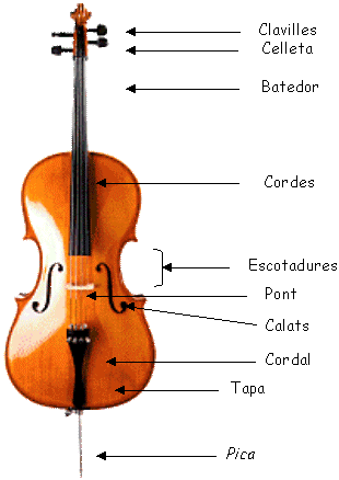 EL VIOLONCEL Existeix molta música escrita pel violoncel com instrument solista; és un instrument que té un paper important dins l orquestra, tots els grups de cambra amb corda i ara, cada vegada