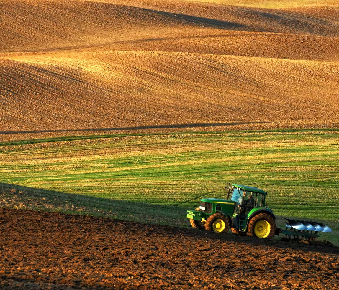 Créditos Agropecuarios y Agroindustriales Con la finalidad de presentar la mejor oferta de crédito Agroindustrial con excelentes condiciones y acorde al flujo de la actividad,