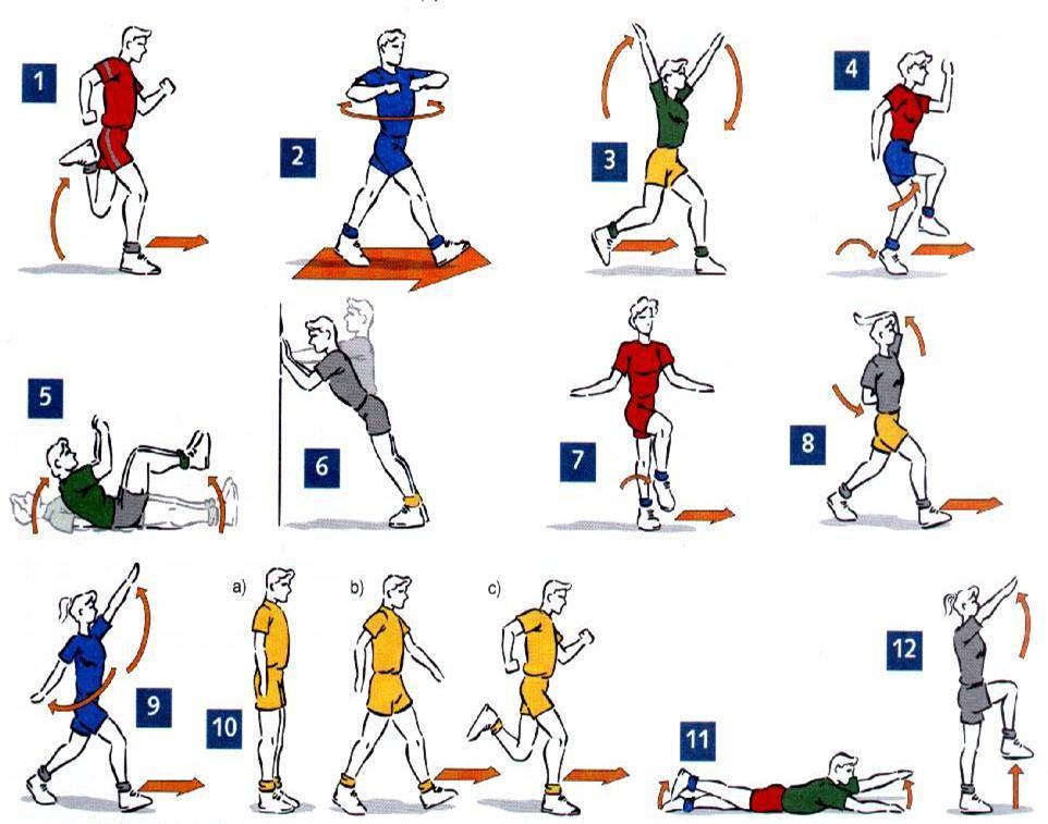 o actividades practicas: Algunos de los ejercicios más comunes y zonas musculares a elongar en actividades físicas y deportes. Ejercicios de movilidad y fortalecimiento básico.