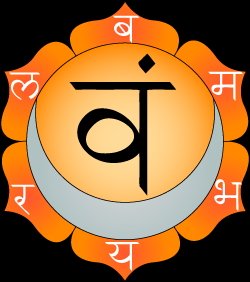 Chakra del bazo Color Naranja Asociación Sanskit Nombre Svadisthana Ubicación por debajo del ombligo, abdomen bajo Sentimientos-La lección de derecho a sentir.