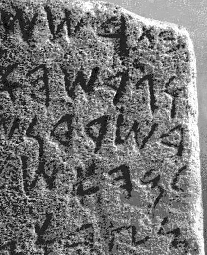 Escrituras silábicas Fenicia El fenicio dio lugar a variantes como el cartaginés o el chipriota y, tal vez, al ibérico. El hebreo es también una evolución del fenicio.