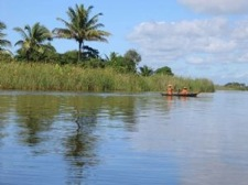 Breve parada en la población agrícola de Ambohimasoa, almuerzo libre y llegada por la tarde a las plantaciones de té de Sahambavy, a orillas de un agradable lago. Alojamiento. 140 kms / aprox. 4 hrs.