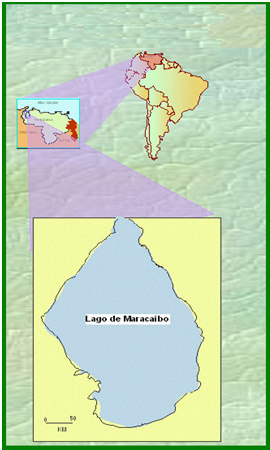 Geológicamente el Campo Bloque VIII se encuentra sobre el basamento ígneo-metamórfico, de la cuenca del Lago de Maracaibo, y a los 17.