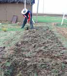 Preparación de suelo Esta técnica permite que el suelo alcance mayor