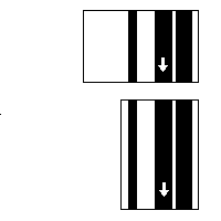 Figura 3. Vista de las dos películas orientadas de tal forma que los indicadores sean paralelos. Cualquier artefacto que se localice paralelo en las dos películas es debido al procesador.