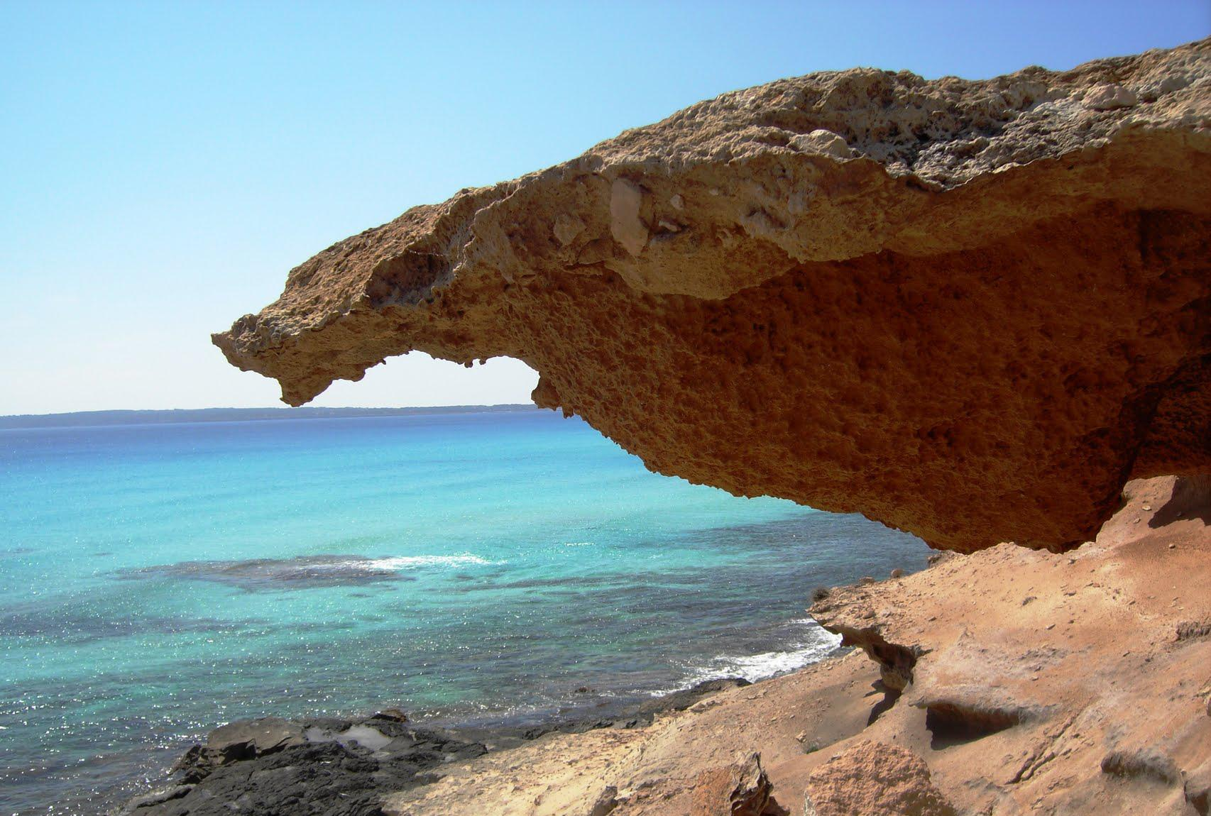 Formas de erosión costera en las rocas detrítico carbonatadas de la