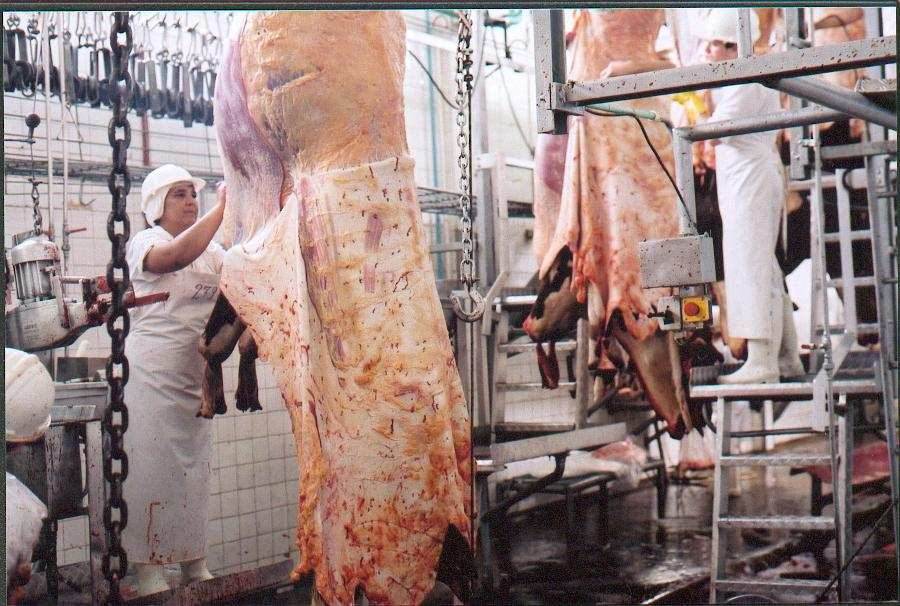 Mercado complejo (internacional, regional y nacional) Comercio internacional residual: 15% para carne bovina Barreras sanitarias y no arancelarias Sistemas de