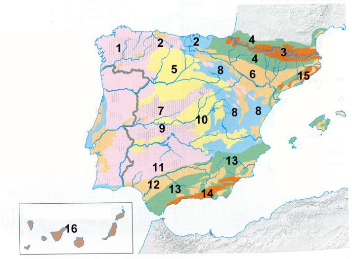 5. El mapa representa las unidades morfoestructurales de España.