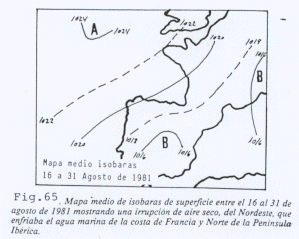 En el mes de Agosto de 1981 fueron desembarcadas en Bermeo, Vizcaya, 2183 toneladas de atún blanco.
