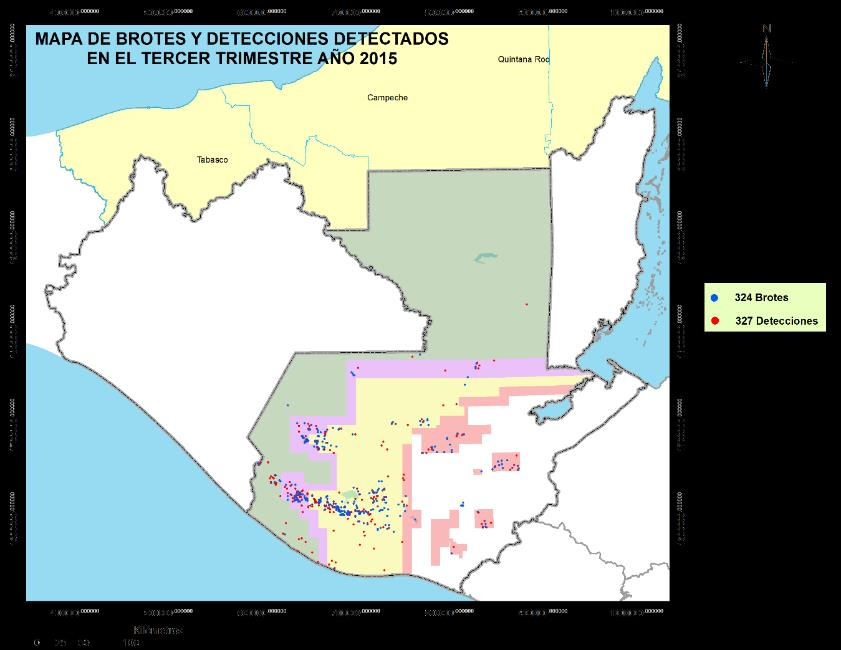La ubicación de los brotes y detecciones activos en las diferentes áreas de trabajo en Guatemala al finalizar el tercer del año 2015 se aprecia en la Figura 2; así también se puede visualizar que el