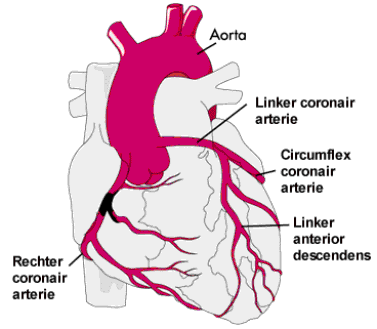 subclavio-coronario