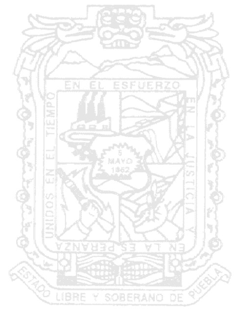C.C. SECRETARIOS DE LA LVI LEGISLATURA DEL H. CONGRESO DEL ESTADO LICENCIADO MARIO P.