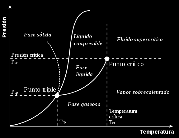 Los límites de fase indican las condiciones en las que dos fases pueden coexistir en equilibrio dinámico. En el punto triple coexisten en equilibrio mutuo tres fases.
