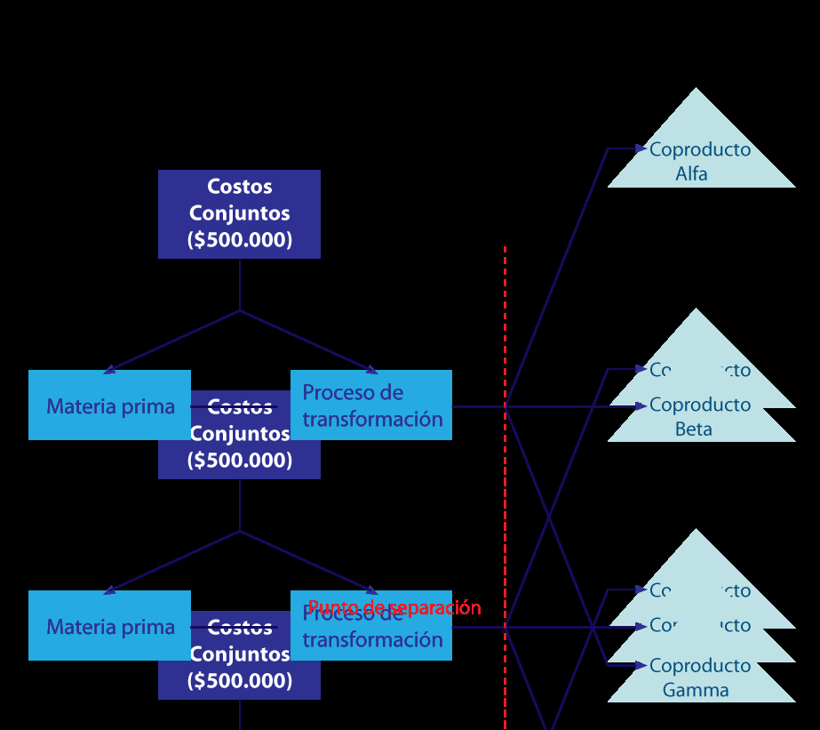 Figura 1. Diagrama de asignación de costos conjuntos a los co-productos (García, 2007).