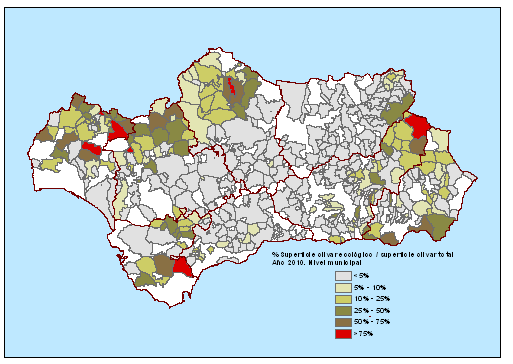 Mapa 13 Porcentaje de superficie municipal de olivar ecológico en relación con la superficie total de olivar municipal en 2010.