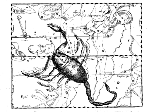 - Scorpius: El Escorpión En la mitología griega, Scorpius es el escorpión que mató a Orión. Simbólicamente, ambas constelaciones se encuentran en lados opuestos del cielo.