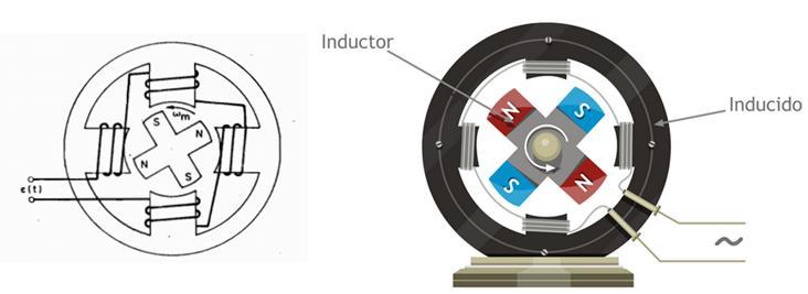 La representación de la máquina sincrónica monofásica consiste en tener el enrollado en el estator y el campo en el rotor que gira a velocidad síncrona n s según se muestra en la Figura 2.