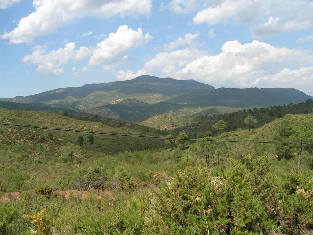 13 - Nombre del Recurso: Sierra del Tejo Conoce el recurso paisajístico?