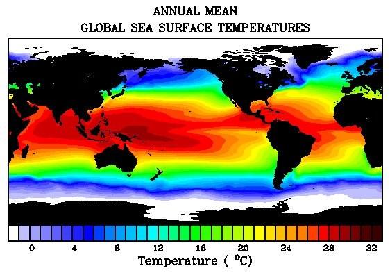 Celda de Walker Las diferencias de temperatura de superficie no sólo existen entre océano-continente.