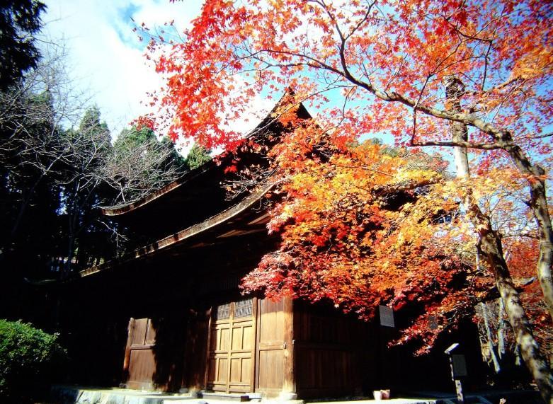 Después de comer visitaremos el bosque de bambú y las zonas principales de Arashiyama, esperando hasta la tarde visitando tiendas tradicionales, para la ceremonia del Toronagashi y los fuegos de