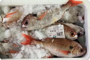 Producción pesquera En 2015 la producción comercializada en la lonja de superó las 810 toneladas, valoradas en 1,48 millones de euros.