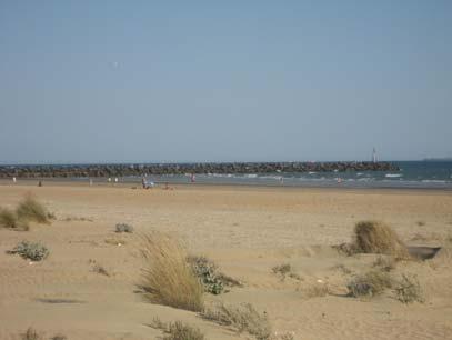 Las dunas litorales se encuentran asociadas a las playas arenosas. El margen costero se ve sometido a vientos litorales constantes que modelan las arenas y forman costas dunares.