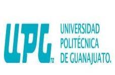 PERFIL PROFESIONAL DEL LICENCIADO EN ADMINISTRACIÓN Y GESTIÓN DE PEQUEÑAS Y MEDIANAS EMPRESAS. VIGENCIA: SEPTIEMBRE 2009 Universidad Politécnica de Guanajuato. I.