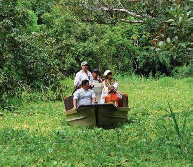 A bordo de una confortable lancha donde siempre estarán disponibles los chalecos salvavidas, ponchos, botas de goma y agua fresca navegará hacia el río de aguas oscuras el Tahuayo observando una gran