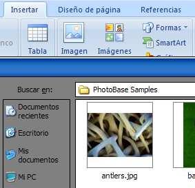 4. INSERTAR IMÁGENES a. Insertar archivos con fotos o dibujos. - Selecciona el comando insertar > imagen > desde archivo.