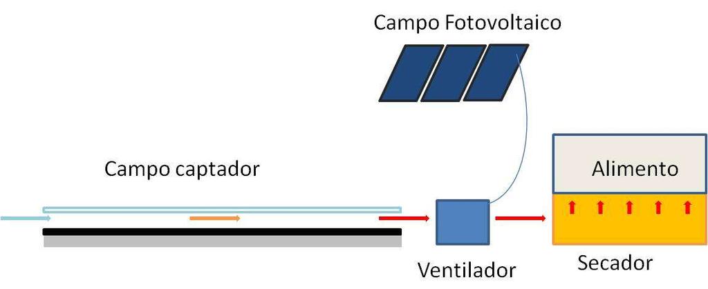 IV. SECADOR SOLAR NUECES Superficie de techo libre, orientada al norte, sobre la cual se configura captador solar de aire.