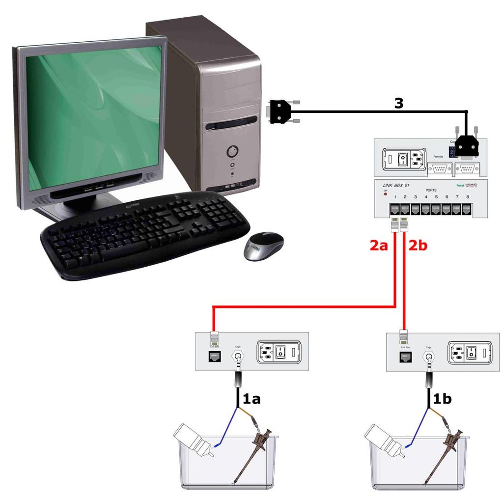 8. CONEXIÓN DEL EQUIPO La figura siguiente muestra un ejemplo de conexión de dos jaulas de test de Vogel con una Link Box 01 y un ordenador: Figura 9. Ejemplo de conexión de dos jaulas.