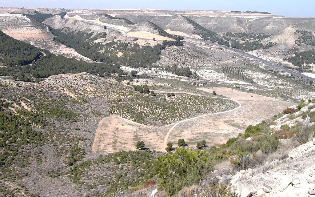 Oligocenos, Terciarios. En el S de Fraga, Huesca.