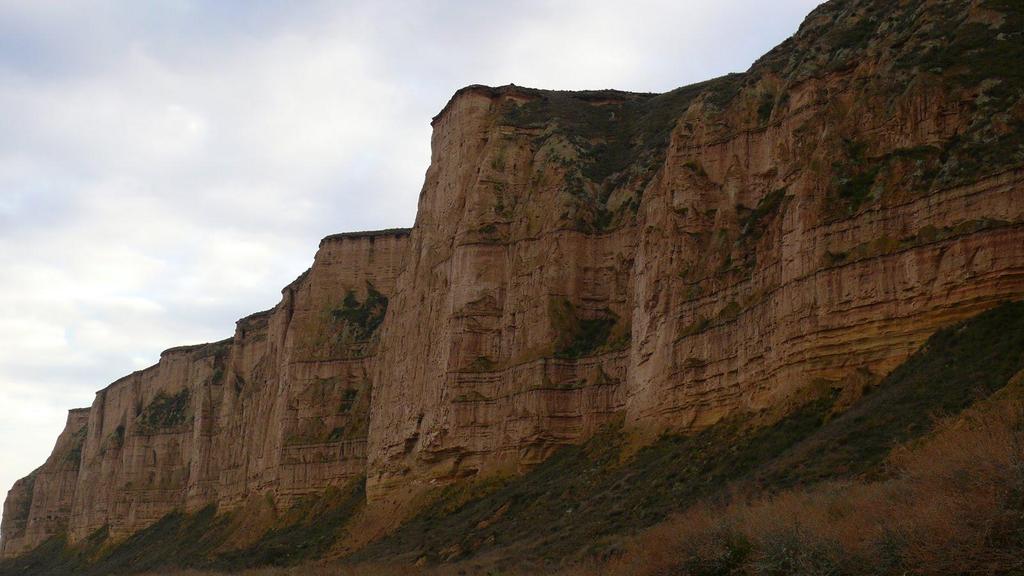 Farallones de areniscas y lutitas del Ageniense, Mioceno, Terciario.