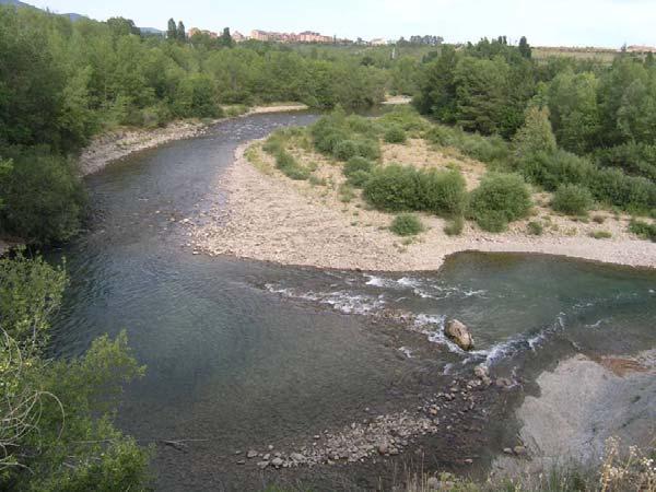 Si se quiere conservar un río como ecosistema y como corredor ambiental en el territorio, se debe proteger ante todo su dinámica hidrogeomorfológica, porque ésta es la que va a garantizar la