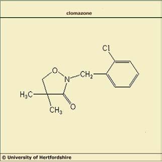 CARACTERÍSTICAS QUÍMICAS Familia Química: Isoxazolidinonas Características generales: Bloquean la síntesis de carotenoides, y por lo tanto interfieren indirectamente en la fotosíntesis vegetal.